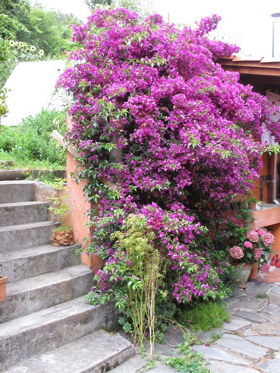 Casa Rural Enkartada Sopuerta Exteriör bild